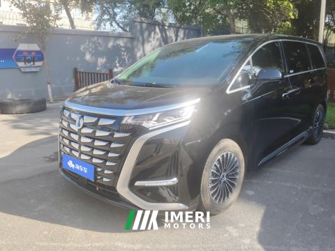 2024 Denza D9 DM-i 1.5T 103km Luxury Version 7 - car from China