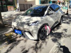 BYD Seagull 305km Free Version - ფოტო 1