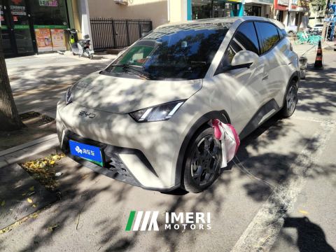 2025 BYD Seagull 305km Free Version - ავტომობილი ჩინეთიდან