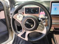 BYD Seagull 305km Free Version - ფოტო 18