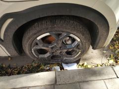 BYD Seagull 305km Free Version - ფოტო 6