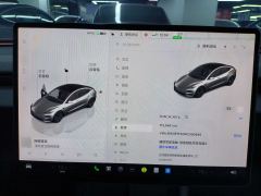Tesla Model 3 606km Rear-Wheel Drive Edition - фото 17