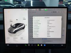 Tesla Model 3 606km Rear-Wheel Drive Edition - фото 18