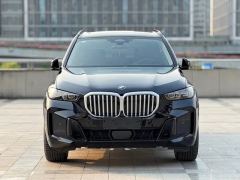 BMW X5 xDrive30Li Deluxe VersionM - ფოტო 2