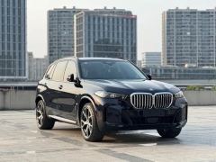 BMW X5 xDrive30Li Deluxe VersionM - ფოტო 3