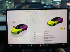 Tesla Model 3 606km Rear-Wheel Drive Edition - фото 17