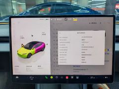 Tesla Model 3 606km Rear-Wheel Drive Edition - фото 18