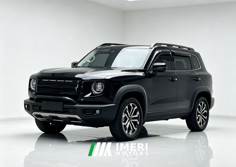 Haval Great Wall Big Dog Great Wall Dog 2.0T 4WD Chinese Garden Dog Edition - car from China