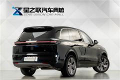 Li Auto L8 Max - ფოტო 9