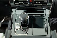 GAC Trumpchi E9 2.0T 136km MAX - ფოტო 15