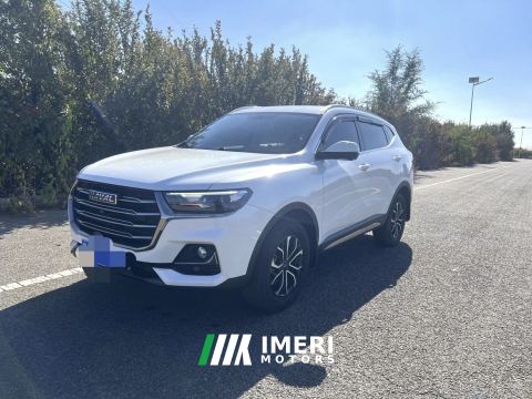 2023 Haval H6 Guochao Edition 1.5T 2WD Urban Edition - ავტომობილი ჩინეთიდან