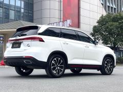 Oshan X7 PLUS Edition 1.5T Premium Version 5 - ფოტო 5