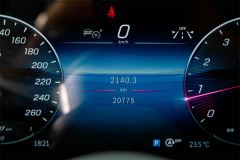 Mercedes-Benz GLC 300 L 4MATIC Dynamic 7-Seater - ფოტო 10