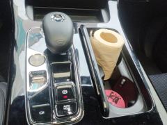 GAC Trumpchi M8 Master Series Dual-Engine 2.0T Flagship Edition 7-seater - ფოტო 19
