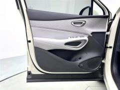 BYD Haima Lion 05EV 540km Edition - ფოტო 9