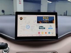 BYD Seagull 305km Free Version - ფოტო 17