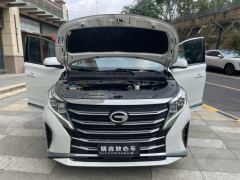 GAC Trumpchi M8 Leading show series 390T Luxury Edition 7-seater - photo 20