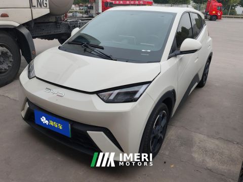 2023 BYD Seagull 305km Free Version - ავტომობილი ჩინეთიდან