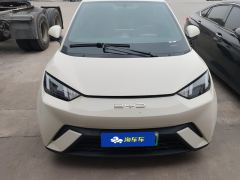 BYD Seagull 305km Free Version - ფოტო 3