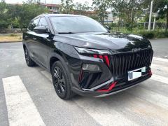 Dongfeng Haoji 1.5T Premium Version - ფოტო 2