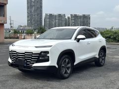 Jetour Dasheng 1.5T PRO - фото 1