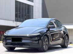 Tesla Model Y 593km Rear-Wheel Drive Edition - ფოტო 1