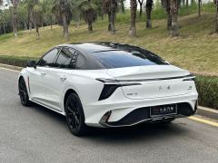 FAW Red Flag H6 2.0T Zhishang Edition - photo 11