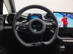 BYD Dolphin 420km Free Version - ფოტო 18