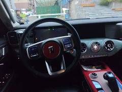 Tank 300 Off-Road Edition 2.0T Conqueror - ფოტო 11