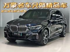 BMW X5 xDrive30Li Deluxe VersionM - фото 1