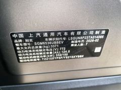 Buick Electra Zhijing Shijia Pure Electric Luxury Edition - photo 11