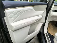 Buick Electra Zhijing Shijia Pure Electric Luxury Edition - photo 3
