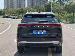 Haval H6 Guochao Edition 1.5T 2WD Champion Edition - ფოტო 8