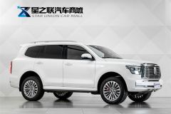 Tank 500 3.0T Business Edition 5 - ფოტო 5