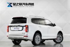 Tank 500 3.0T Business Edition 5 - ფოტო 6