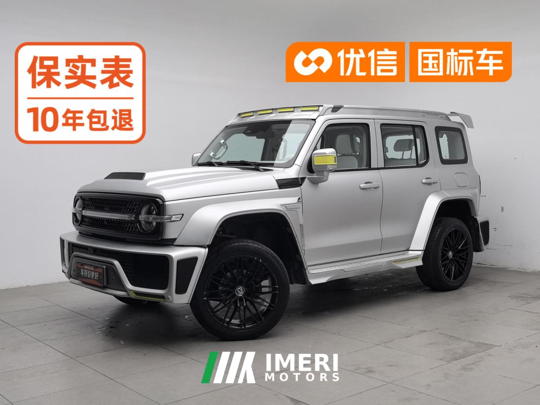 Tank 300 2.0T - car from China