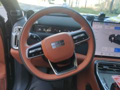 Geely Galaxy M9 1.5T 230km Edition - ფოტო 18