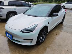 Tesla Model 3 556km Rear-Wheel Drive Edition - фото 1
