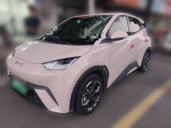 BYD Seagull 305km Free Version - ფოტო 1