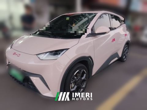 2025 BYD Seagull 305km Free Version - ავტომობილი ჩინეთიდან