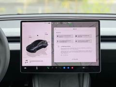 Tesla Model 3 634km Rear-Wheel Drive Edition - ფოტო 17