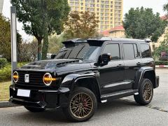 Tank 300 2.0T Conquistador Gasoline - фото 1