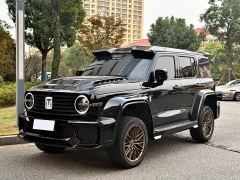 Tank 300 2.0T Conquistador Gasoline - фото 18