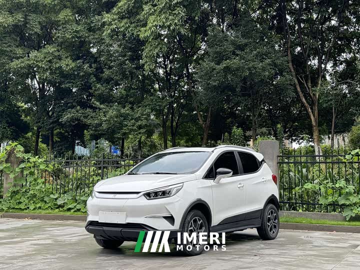 BYD Yuan Pro 2021 401KM Premium Edition