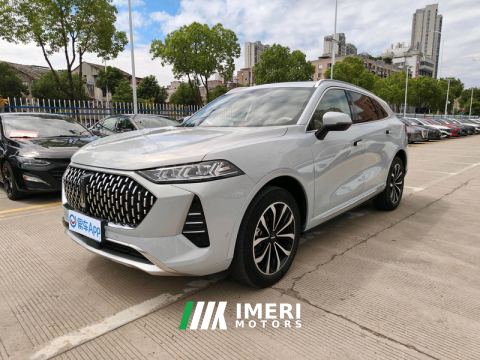 2021 Great Wall Mocha fuel Weipai Mocha Fuel Oil 2.0T Two-Wheel Drive Special Edition