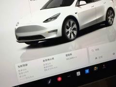 Tesla Model Y Rear-Wheel Drive - ფოტო 6