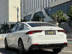 Trumpchi Leopard 270T DCT J10 Flying Man Edition - photo 10