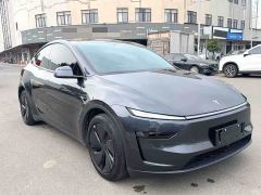 Tesla Model Y Rear-Wheel Drive - photo 4