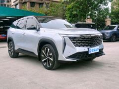 Geely Boyue L 2.0T Premium Version - photo 3