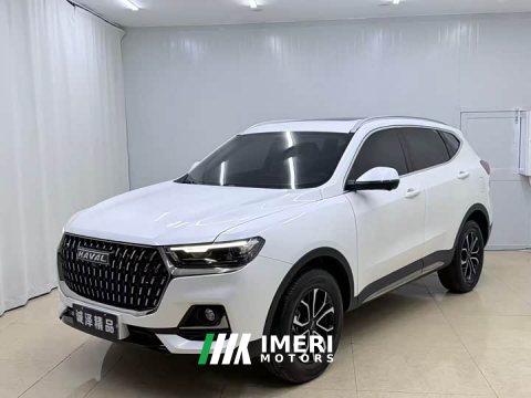 2023 Haval H6 National Trend Edition 1.5T Automatic Urban Version - car from China